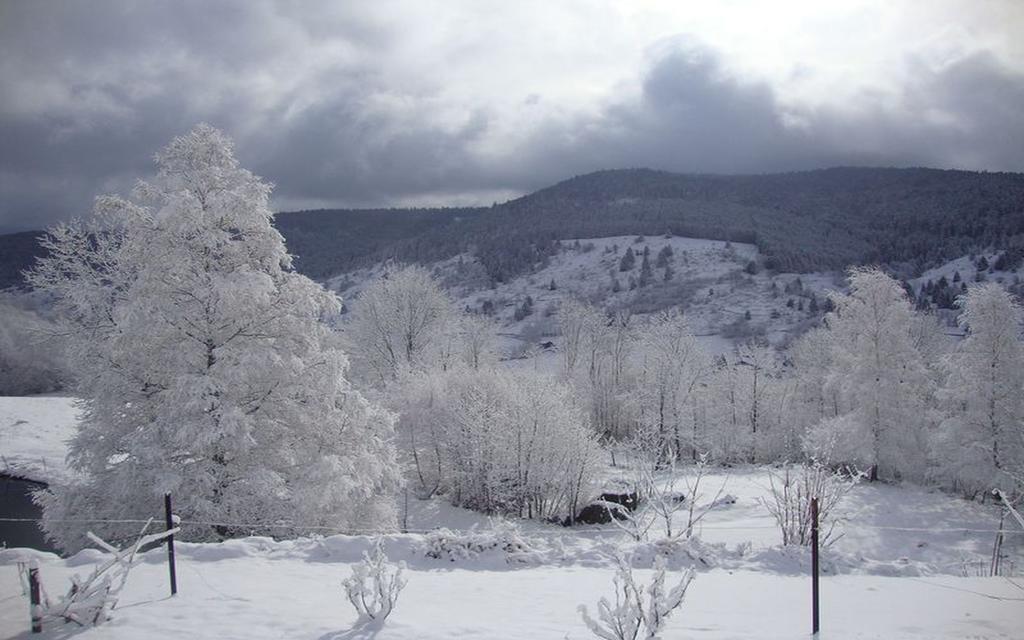 Les Chantenees La Bresse Dış mekan fotoğraf
